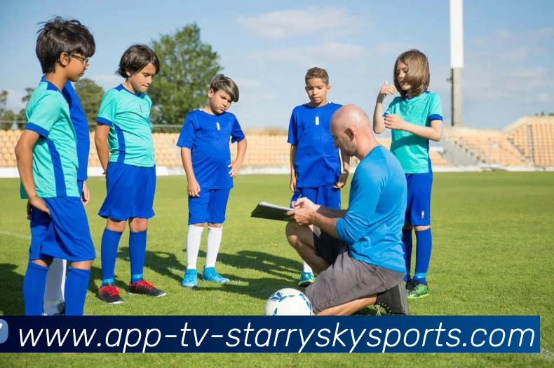 星空体育平台生态图